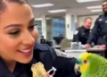 Talking Parrot Funny Video (2026): Savage Bird Roasts Cops, Vets & Grandma 😂