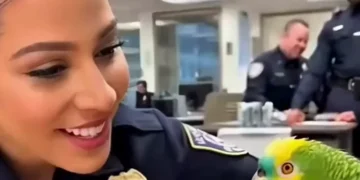 Talking Parrot Funny Video (2026): Savage Bird Roasts Cops, Vets & Grandma 😂