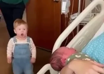 幼儿对新生儿的反应，就像惊愕的哥哥姐姐对家中新生儿的情绪反应一样