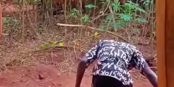 funny rocket fail video showing man running from exploding homemade rocket